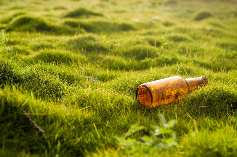 Environmental Wellness