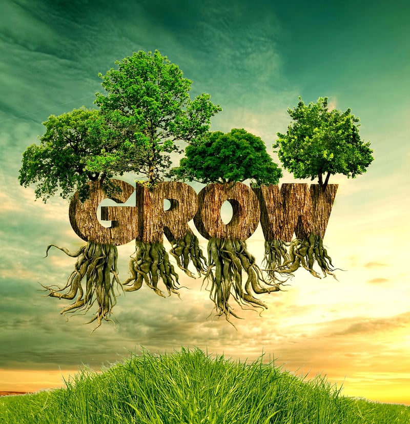 Spiritual Growth